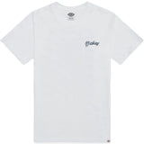 V2H4760E003868DF4BC3D4B44536A9927CCR7691432P1