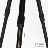 V5H1D0DBBEAE71A533ECE2E1F274C2C46A8R5649350P4